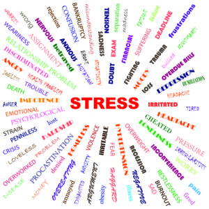 stress - Dr. Scott A. Saunders